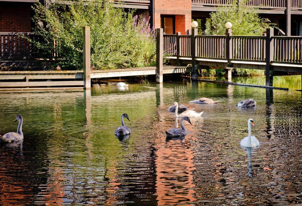 Reading Lake Hotel Экстерьер фото